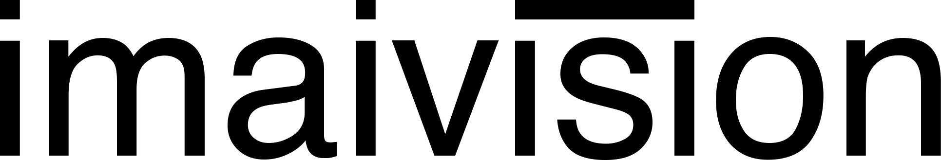 IMAIV Logo